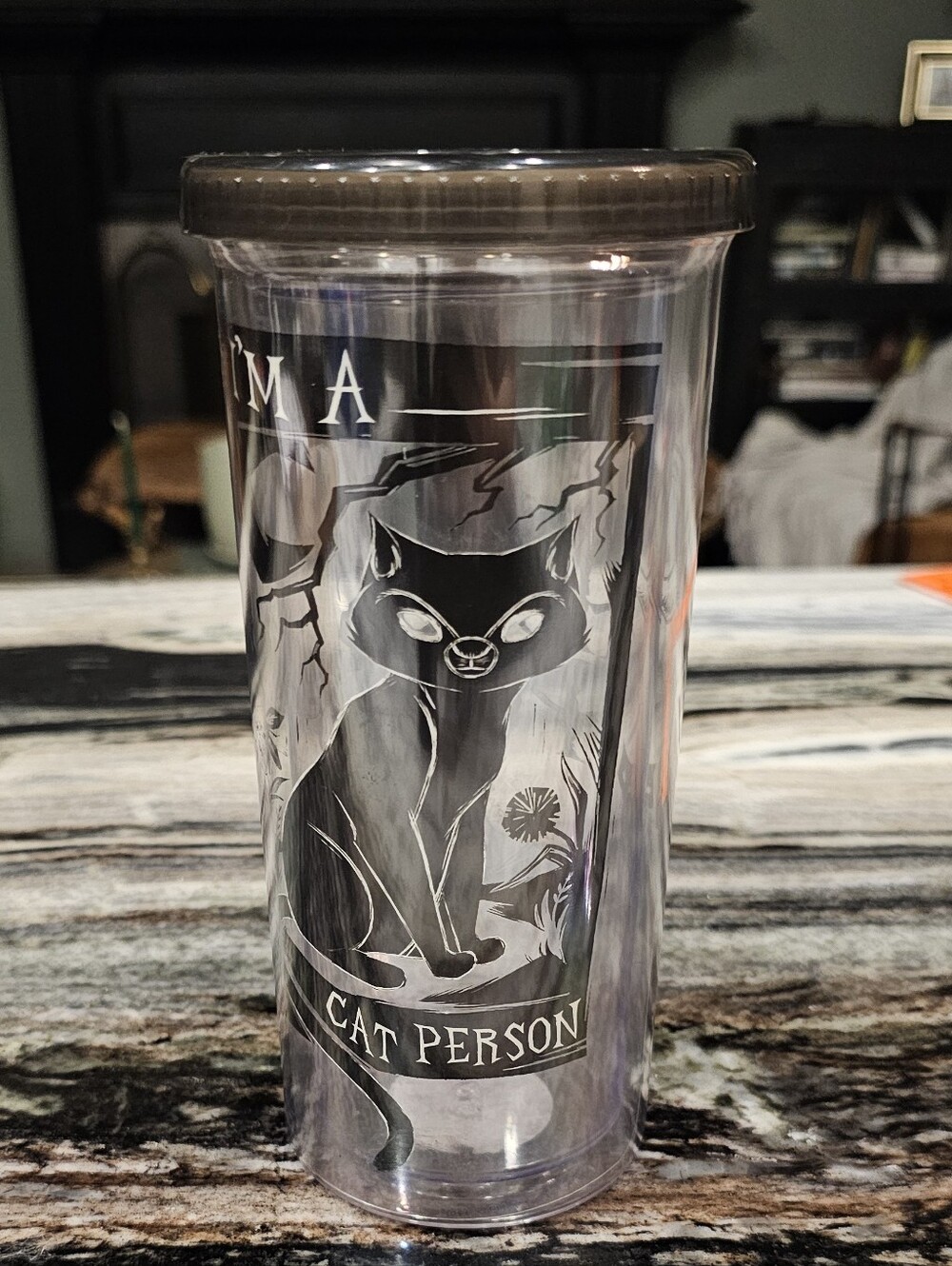 Disney Hocus Pocus Clear Cat Person Tumbler with Black Lid